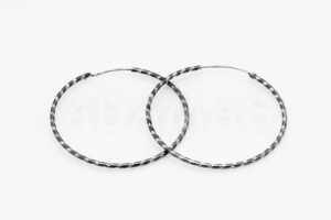 Pridané do zoznamu, Kruhové náušnice strieborné AGNAUK000289, cena <span class="woocommerce-Price-amount amount"><bdi>61,00&nbsp;<span class="woocommerce-Price-currencySymbol">&euro;</span></bdi></span>.