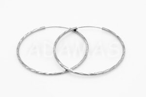 Pridané do zoznamu, Kruhové náušnice strieborné AGNAUK000306, cena <span class="woocommerce-Price-amount amount"><bdi>60,00&nbsp;<span class="woocommerce-Price-currencySymbol">&euro;</span></bdi></span>.