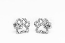 Napichovacie náušnice strieborné AGNAUN000658