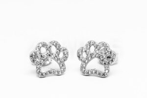 Pridané do zoznamu, Napichovacie náušnice strieborné AGNAUN000658, cena <span class="woocommerce-Price-amount amount"><bdi>19,00&nbsp;<span class="woocommerce-Price-currencySymbol">&euro;</span></bdi></span>.