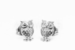 Pridané do zoznamu, Napichovacie náušnice strieborné AGNAUN000614, cena <span class="woocommerce-Price-amount amount"><bdi>24,00&nbsp;<span class="woocommerce-Price-currencySymbol">&euro;</span></bdi></span>.