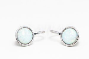 Pridané do zoznamu, Patentové náušnice strieborné AGNAUP000377, cena <span class="woocommerce-Price-amount amount"><bdi>40,00&nbsp;<span class="woocommerce-Price-currencySymbol">&euro;</span></bdi></span>.