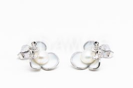 Napichovacie náušnice strieborné AGNAUN000721