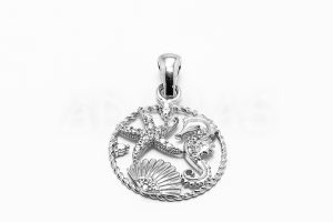 Pridané do zoznamu, Dámsky prívesok strieborný AGPRD000898, cena <span class="woocommerce-Price-amount amount"><bdi>15,00&nbsp;<span class="woocommerce-Price-currencySymbol">&euro;</span></bdi></span>.