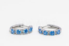 Kruhové náušnice strieborné AGNAUK000458