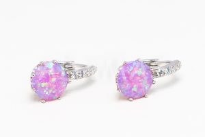 Pridané do zoznamu, Kruhové náušnice strieborné AGNAUK000502, cena <span class="woocommerce-Price-amount amount"><bdi>33,00&nbsp;<span class="woocommerce-Price-currencySymbol">&euro;</span></bdi></span>.