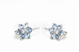 Patentové náušnice strieborné AGNAUP000447