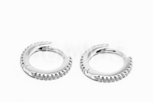 Pridané do zoznamu, Kruhové náušnice strieborné AGNAUK000587, cena <span class="woocommerce-Price-amount amount"><bdi>28,00&nbsp;<span class="woocommerce-Price-currencySymbol" translate="no" dir="auto">&euro;</span></bdi></span>.