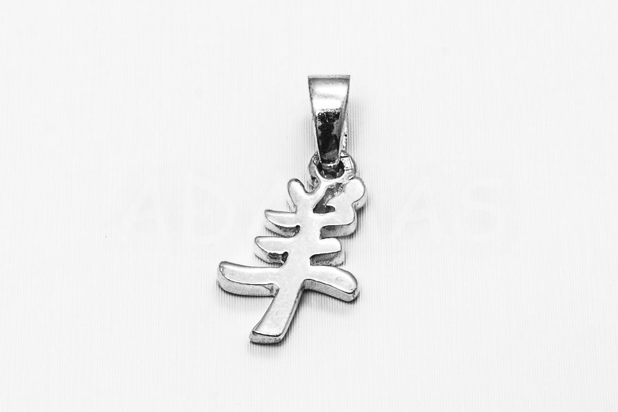 Pánsky prívesok strieborný AGPRP000033