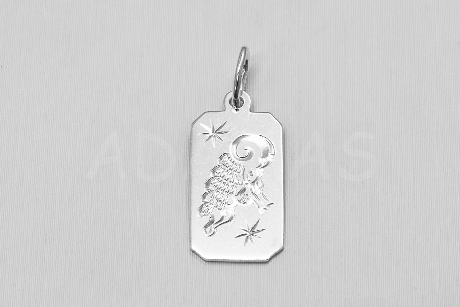 Pánsky prívesok strieborný AGPRP000092