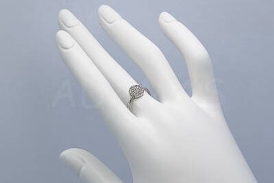 AUPD000399
