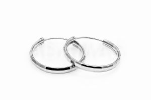 Pridané do zoznamu, Kruhové náušnice strieborné AGNAUK000295, cena <span class="woocommerce-Price-amount amount"><bdi>21,00&nbsp;<span class="woocommerce-Price-currencySymbol">&euro;</span></bdi></span>.