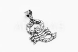 Pánsky prívesok strieborný AGPRP000226