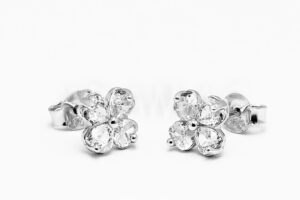 Pridané do zoznamu, Napichovacie náušnice strieborné AGNAUN000841, cena <span class="woocommerce-Price-amount amount"><bdi>24,00&nbsp;<span class="woocommerce-Price-currencySymbol" translate="no" dir="auto">&euro;</span></bdi></span>.